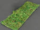 moss ribbon
